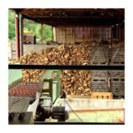 4 stères de bûches – 50cm – En vrac (3,2M3) – 100% feuillus durs – Image 4