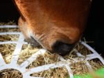 Le Pack Forager Régulateur + Le Forager de Haygain – Image 7
