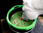 Le Pack Forager Régulateur + Le Forager de Haygain – Image 9