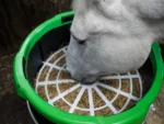 Le Pack Forager Régulateur + Le Forager de Haygain – Image 11